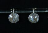 Gorgeous Blue, Polished Dinosaur Bone (Gembone) Earrings #54102-2